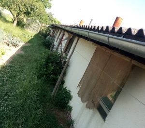 Suedseiten Fenster werden abghaengt, damit keine direkte Sonneneinstrahlung den Stall zusaetzlich aufheizt. Andreas ,Rainer Mueller Rems-Murr-Schwein
